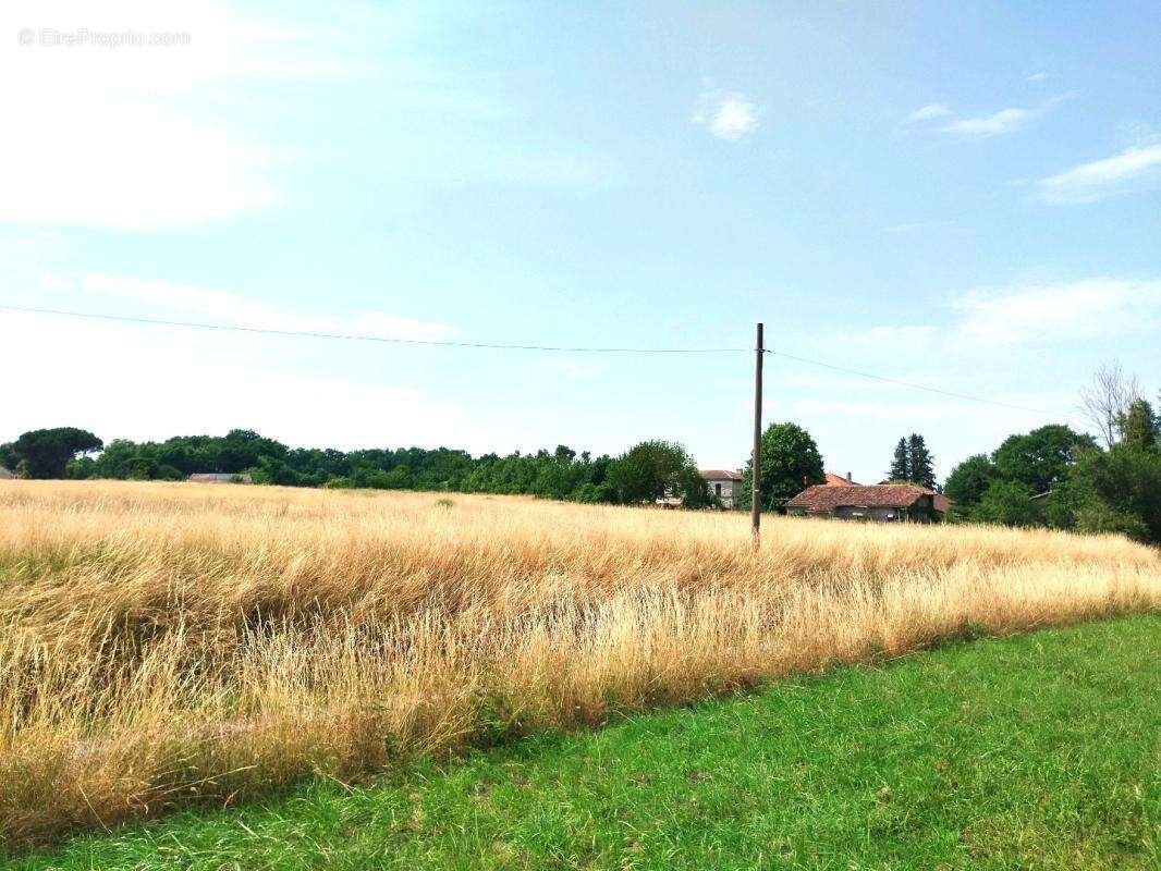 Terrain 1000 m² à Merignac  - photo 3