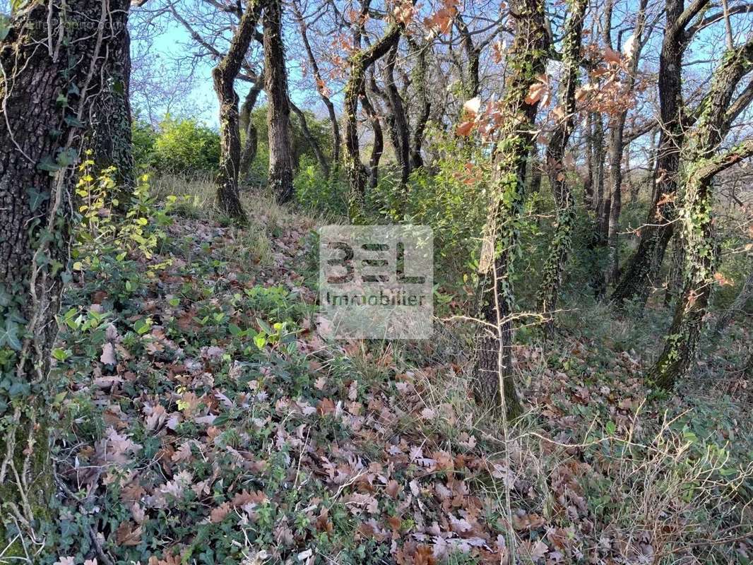 Terrain à LE TEIL