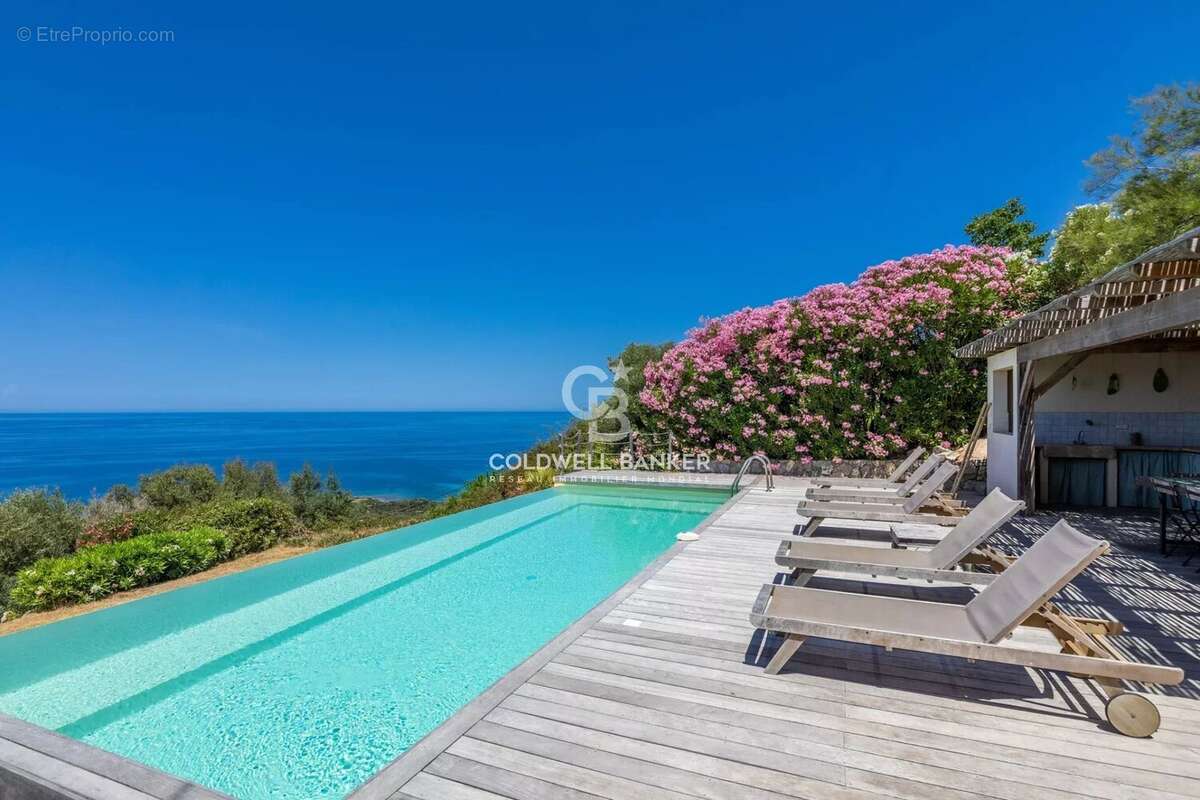 Corbara - Villa de Charme vue Panoramique - photo 50