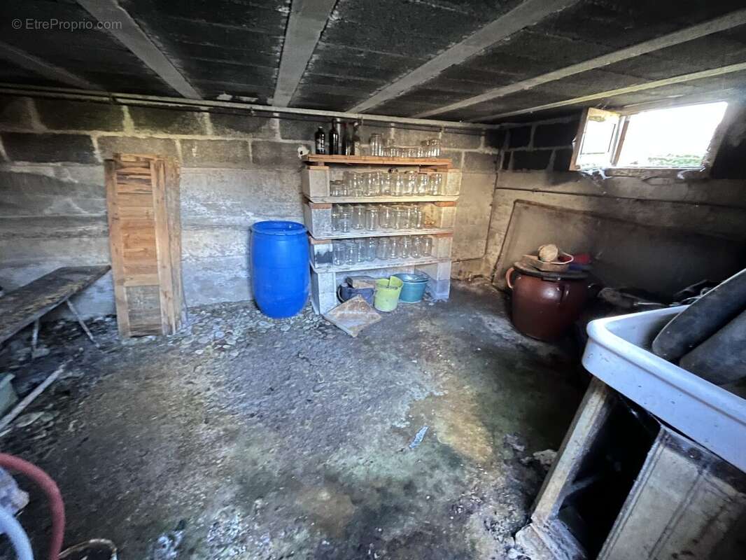 Cave - Maison à SAIGNES