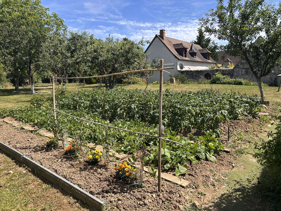 Maison à LE GRAND-PRESSIGNY