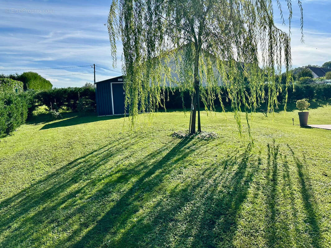 Maison à VELLEMINFROY