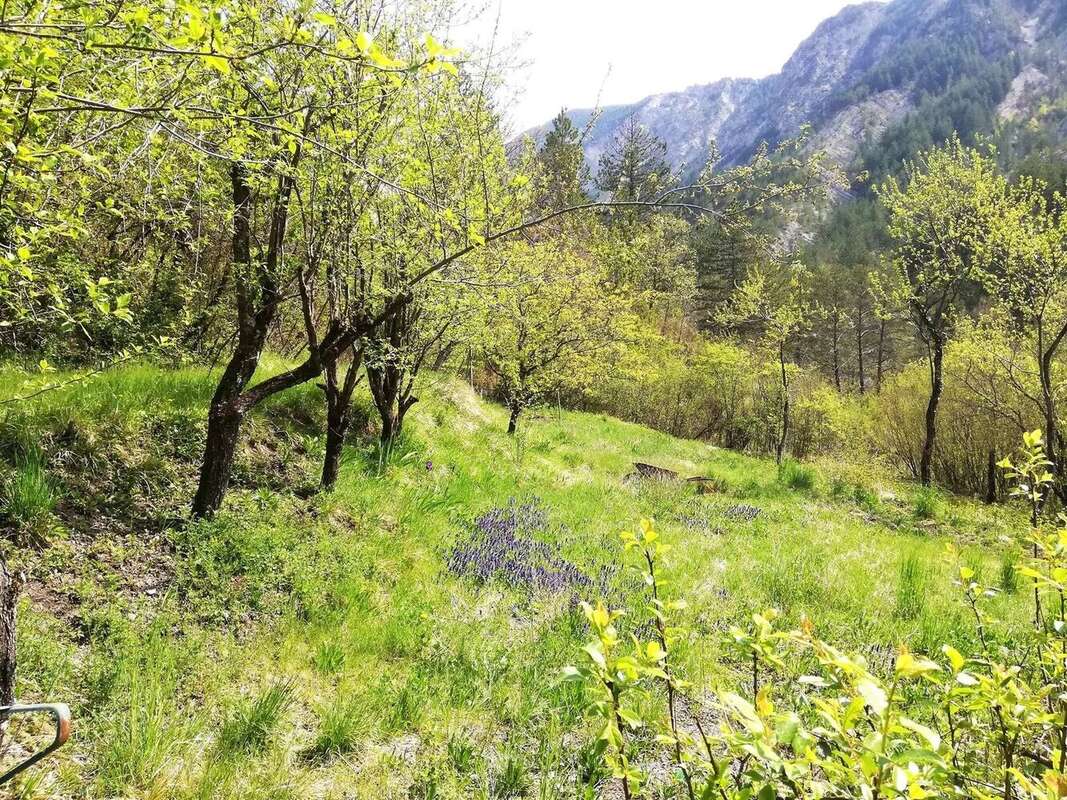 Maison à PUGET-ROSTANG