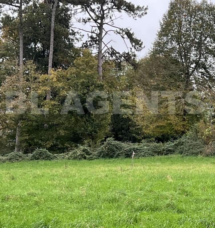 Photo terrain - Terrain à BAILLY-ROMAINVILLIERS