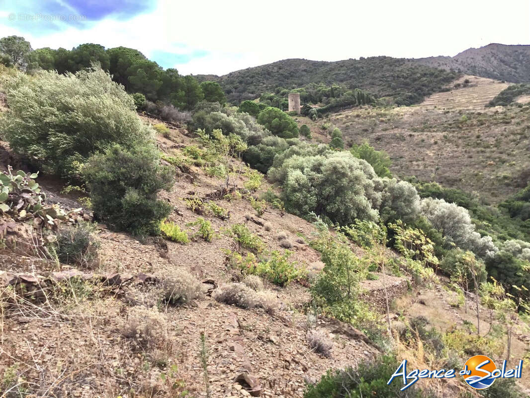 Terrain à BANYULS-SUR-MER