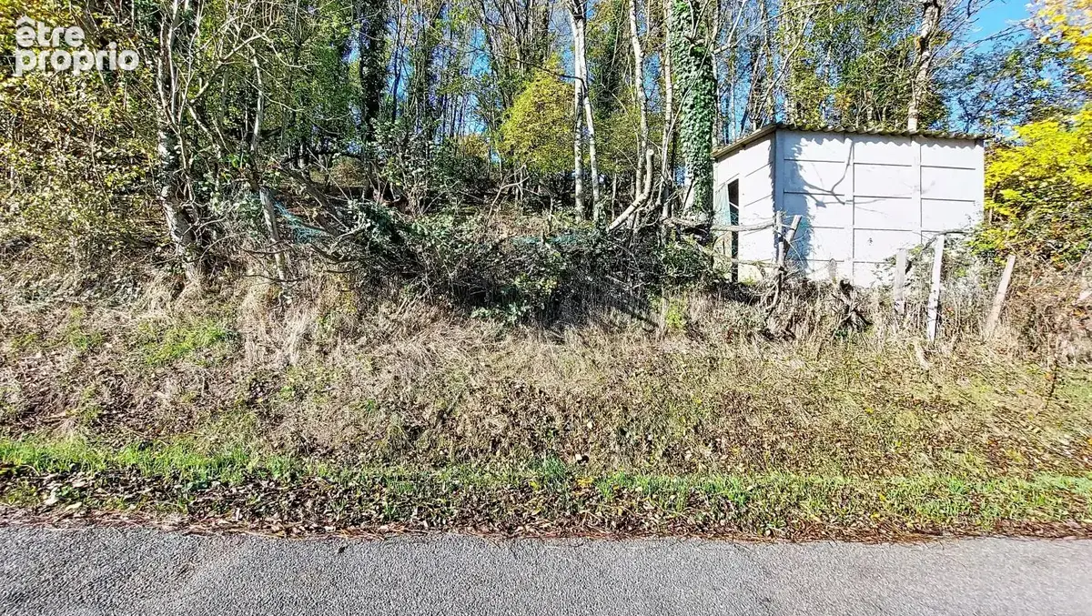 Terrain - Agricole - non constructible - photo 4