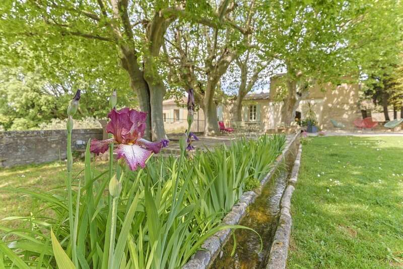 RARE : Offrez-vous une magnifique  Propriété ( mas de 10 pièces et 2.6 hectares de parc ) aux portes de SOMMIERES (30) - photo 7