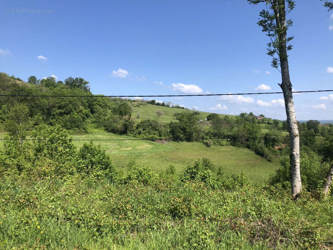 Terrain à SAINT-CYPRIEN