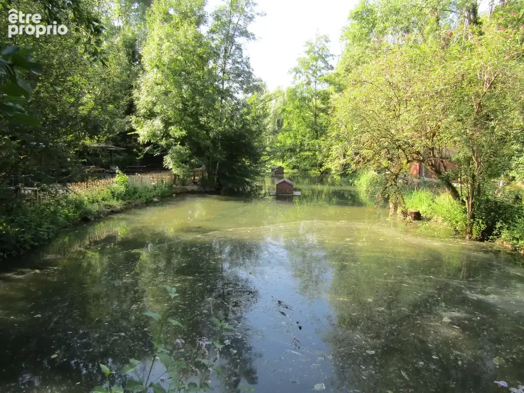 Murs et Fonds de commerce de pizzeria dans un environnement merveilleux - photo 6