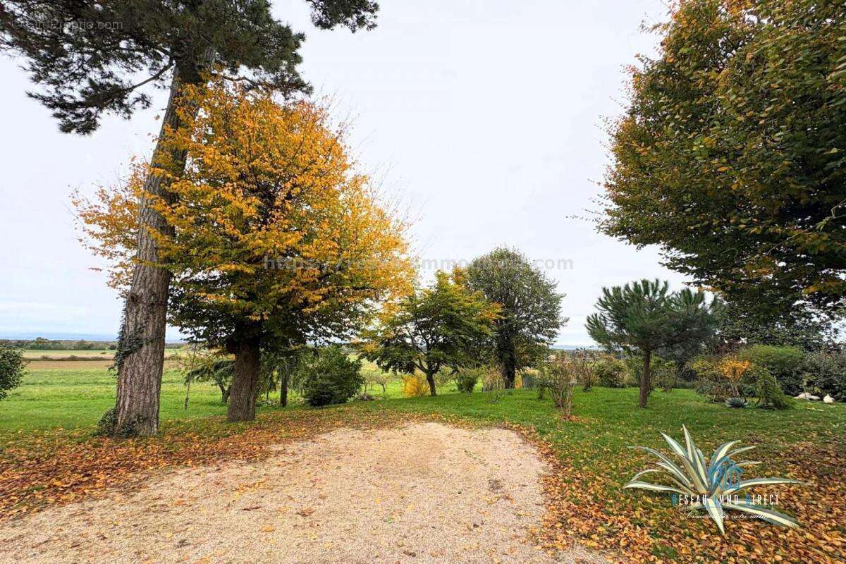 Maison à REVEL-TOURDAN