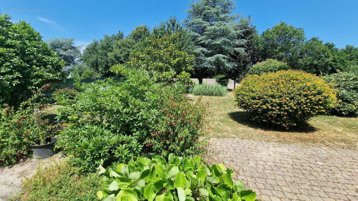 Maison à SAINT-ANDRE-DES-EAUX