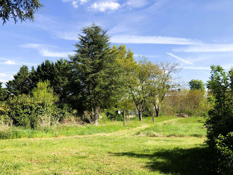 Maison à VILLEMANDEUR