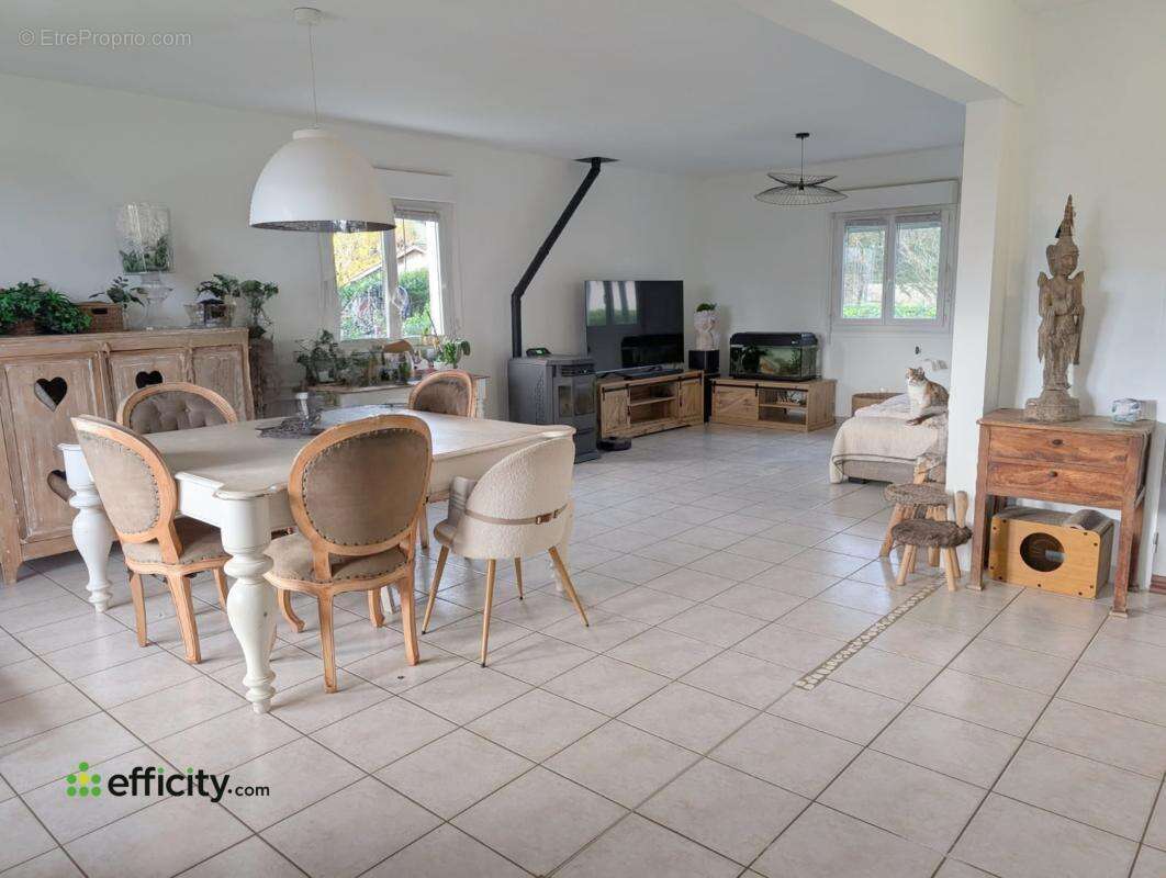 Maison à CHATILLON-SUR-CHALARONNE