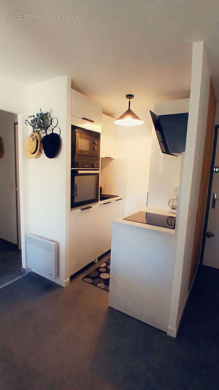 Appartement 2 pieces- Terrasse- Garage- Seaquarium - photo 7
