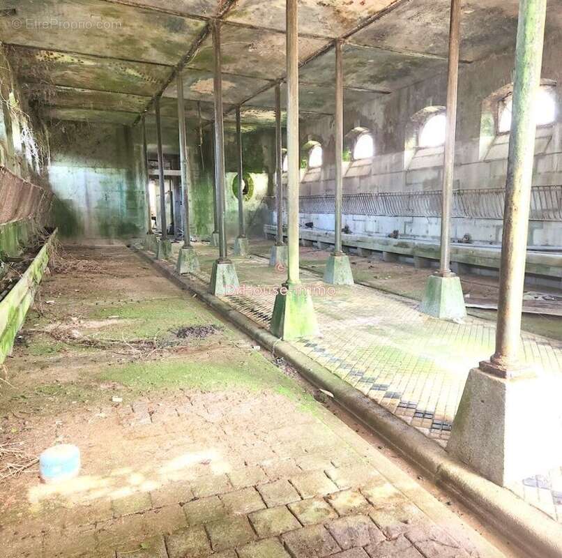 Maison à LOUVIGNE-DU-DESERT