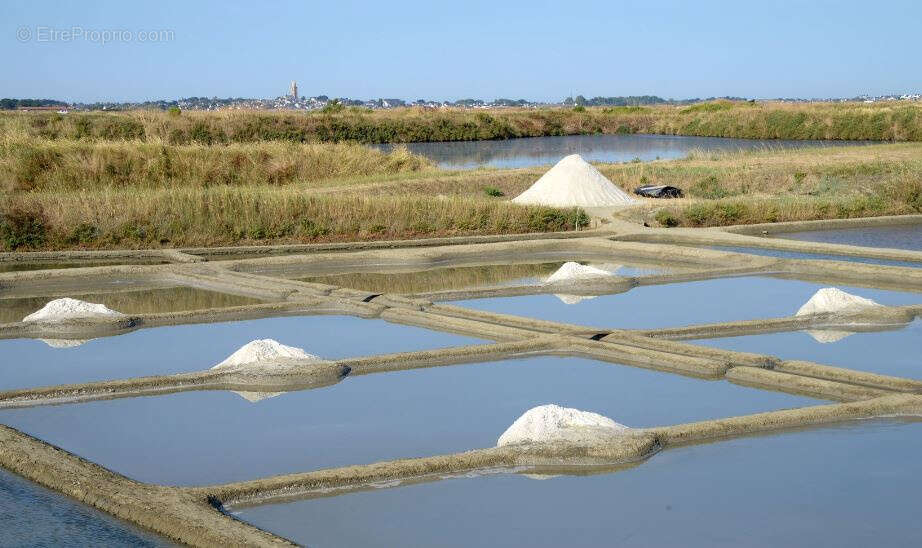 Maison à LA TURBALLE