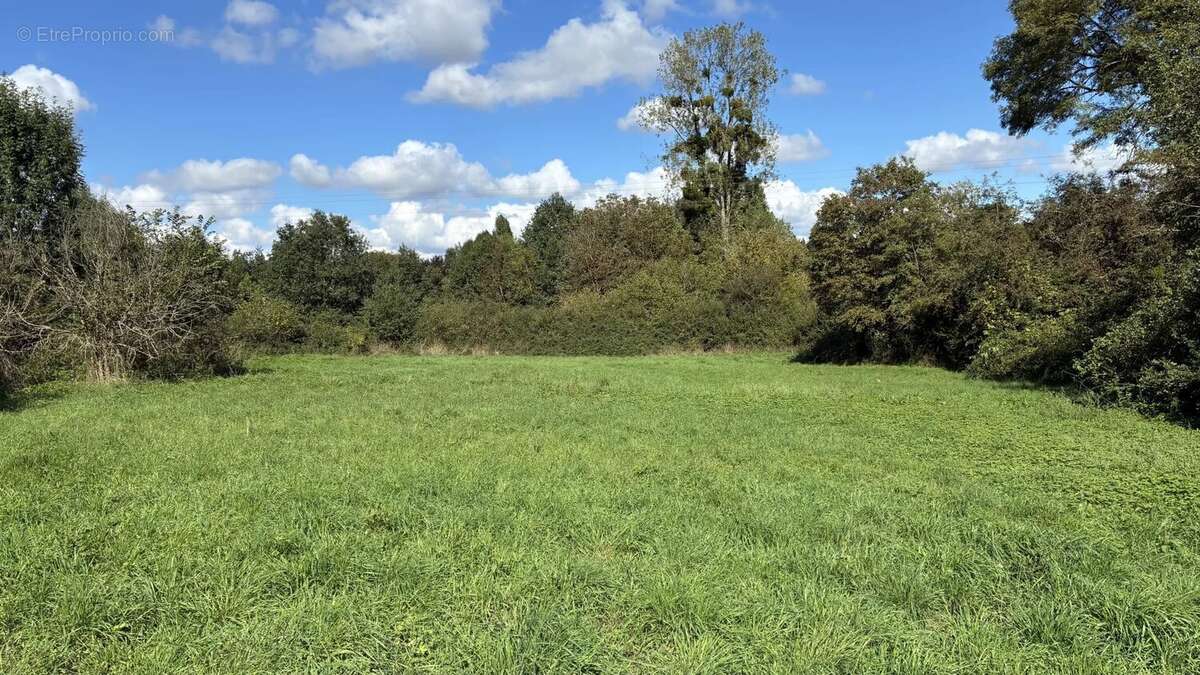 Maison à MONTMORILLON