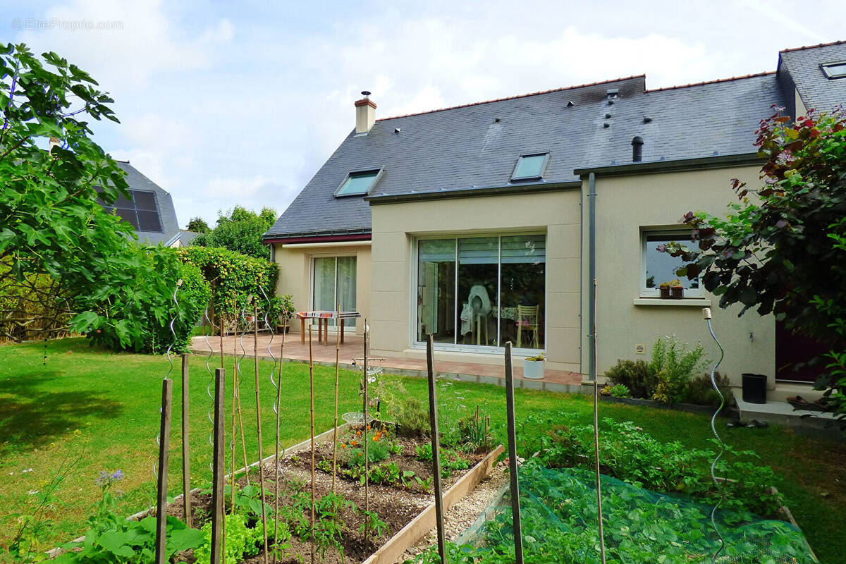 Maison à BEAUCOUZE