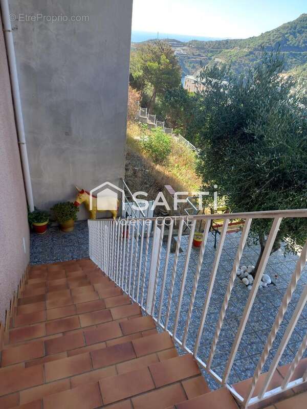 Photo 8 - Appartement à CERBERE