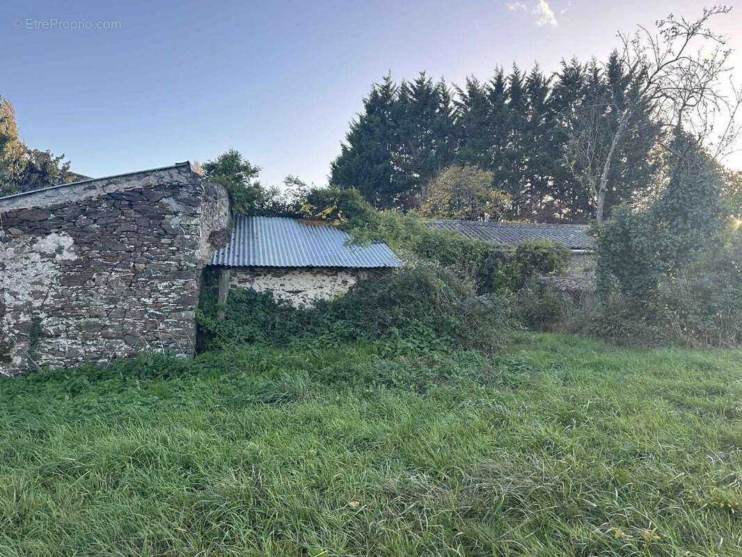 Maison à SAINT-LAMBERT-DU-LATTAY