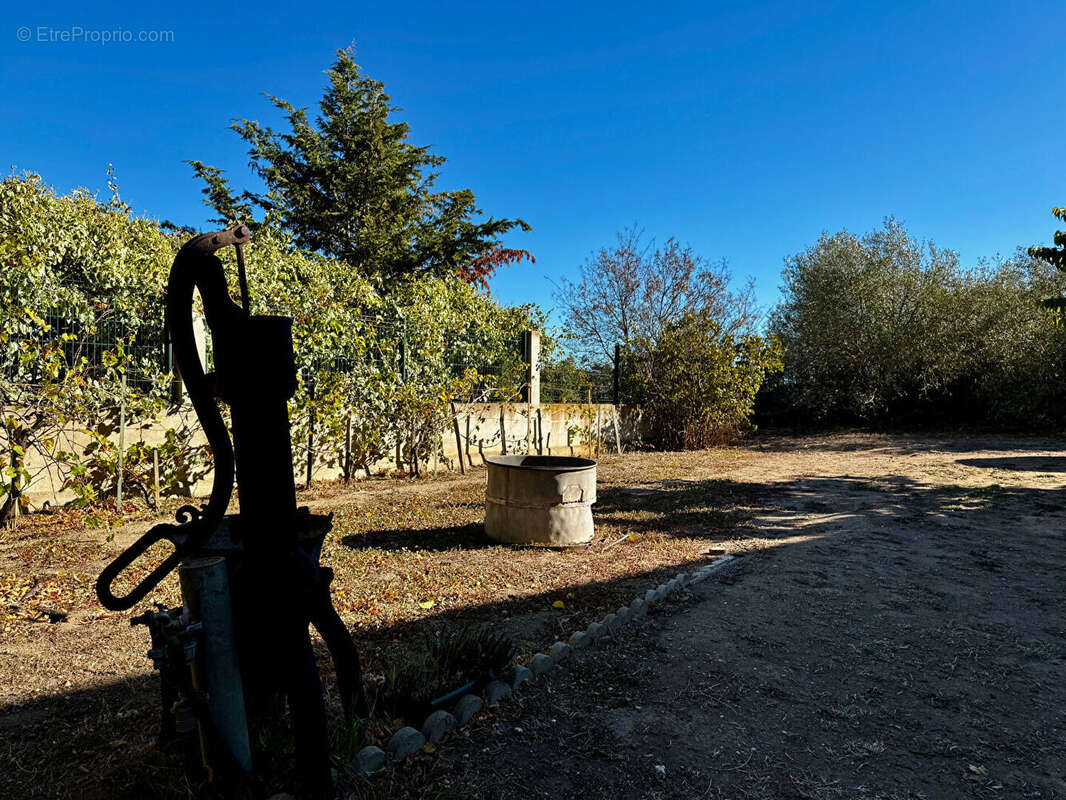 Maison à POUZOLS-MINERVOIS