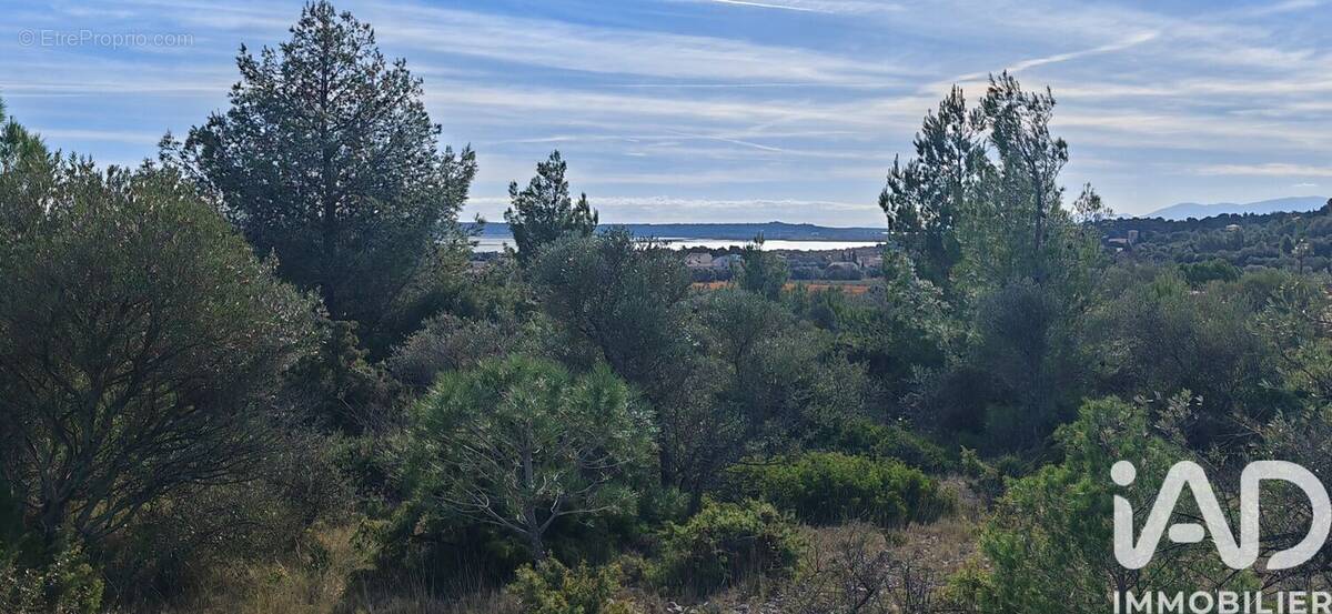 Photo 1 - Terrain à LA PALME