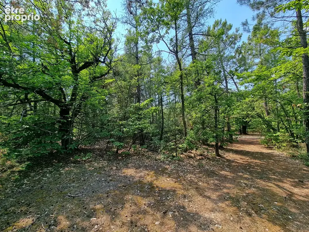 Terrain Saint Trinit 11856m2 - photo 4