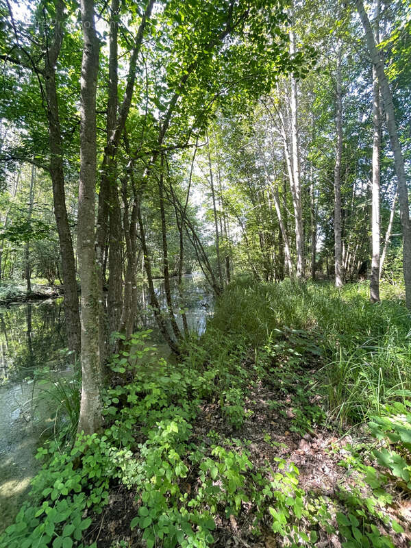 Terrain à FLIXECOURT