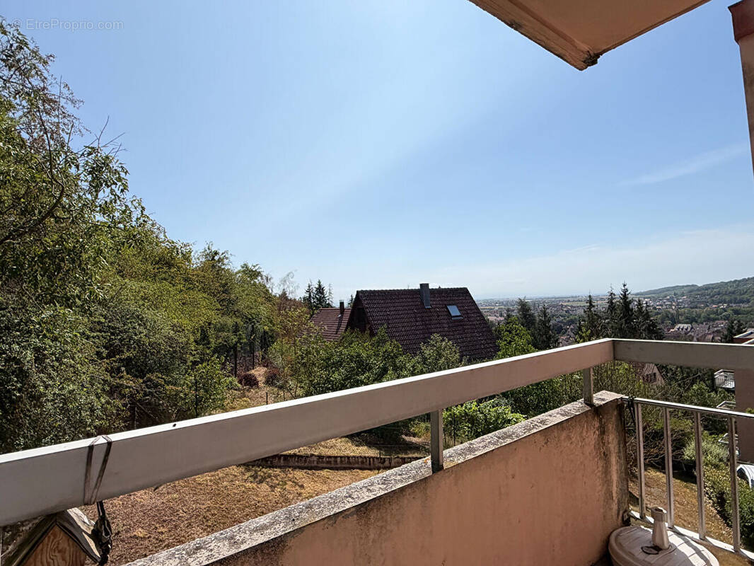 Appartement 2 pièces avec parking et cave - Hauteurs de Mutzig - photo 1