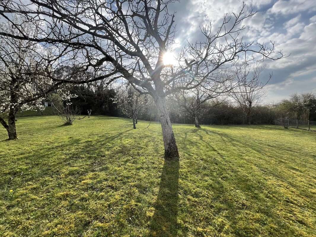 Terrain à PUYGOUZON