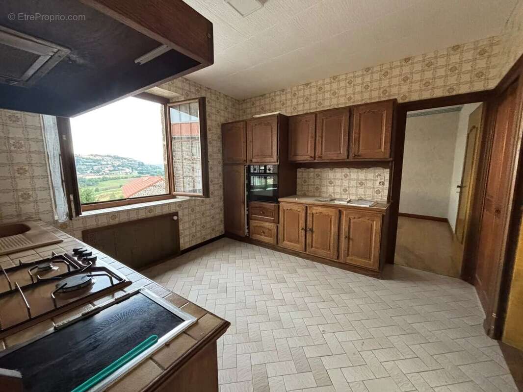 Polignac,  ensemble immobilier de 2 maisons. - photo 3