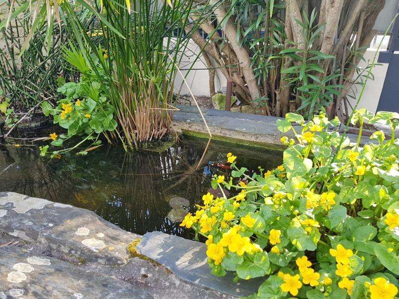 Maison à SAINT-TROJAN-LES-BAINS