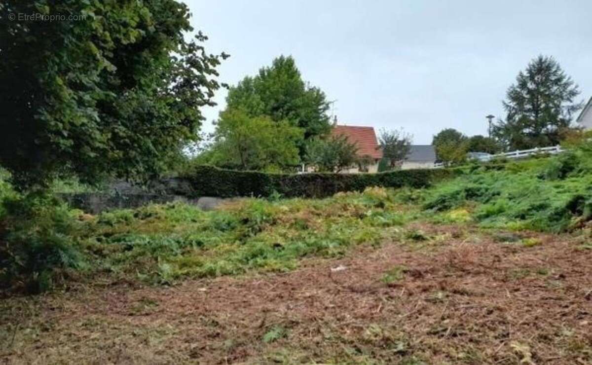 Terrain à LA SAUVAGERE