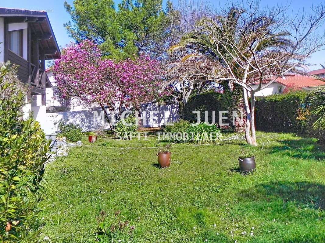 Photo 9 - Maison à SAINT-VINCENT-DE-TYROSSE