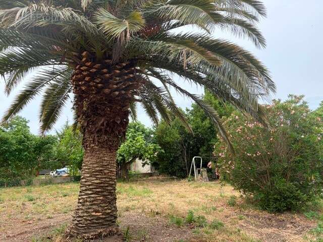 A vendre maison, vaucluse, paca, 84500 bollene - photo 20