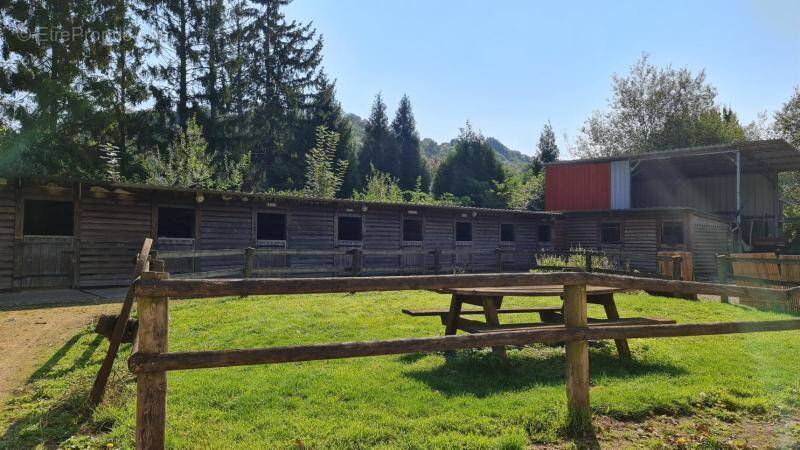 Photo 1 - Terrain à SAINT-GOBAIN