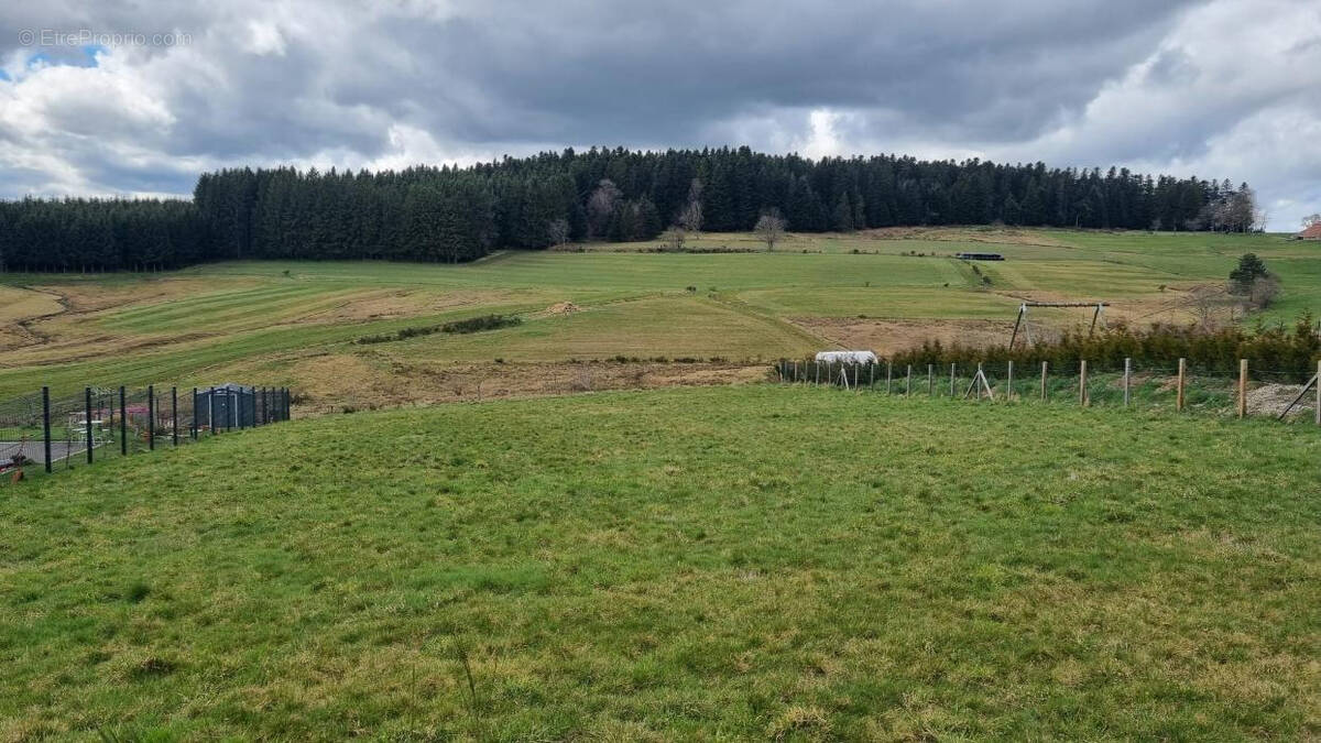 Terrain à RIOTORD