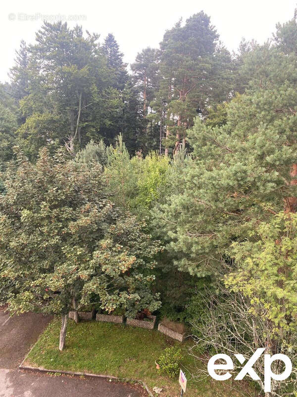 Appartement à RIEDISHEIM