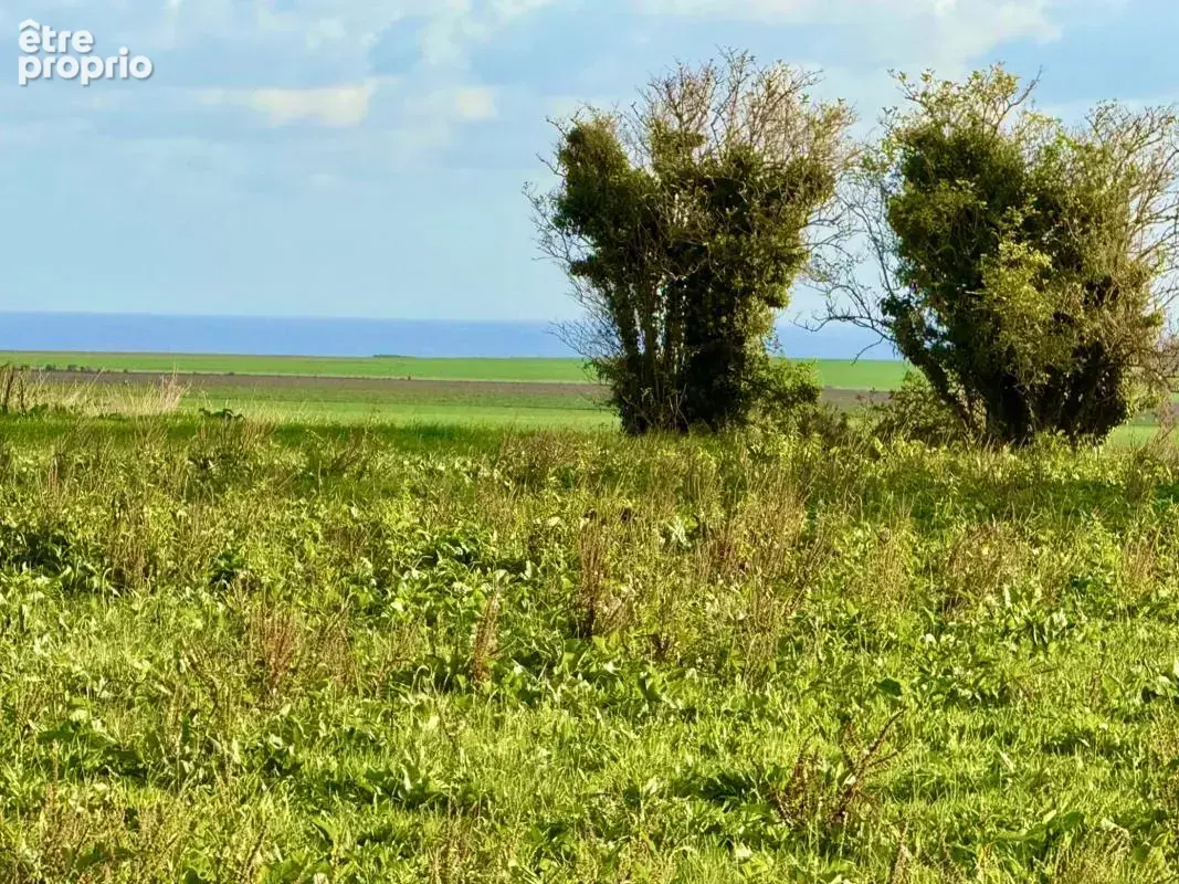 Demeure contemporaine - photo 2
