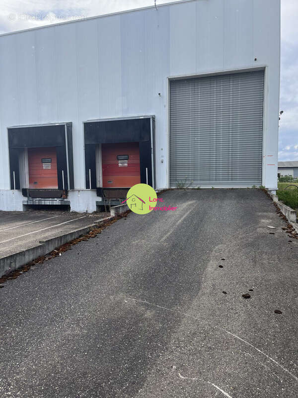 Commerce à DUPPIGHEIM