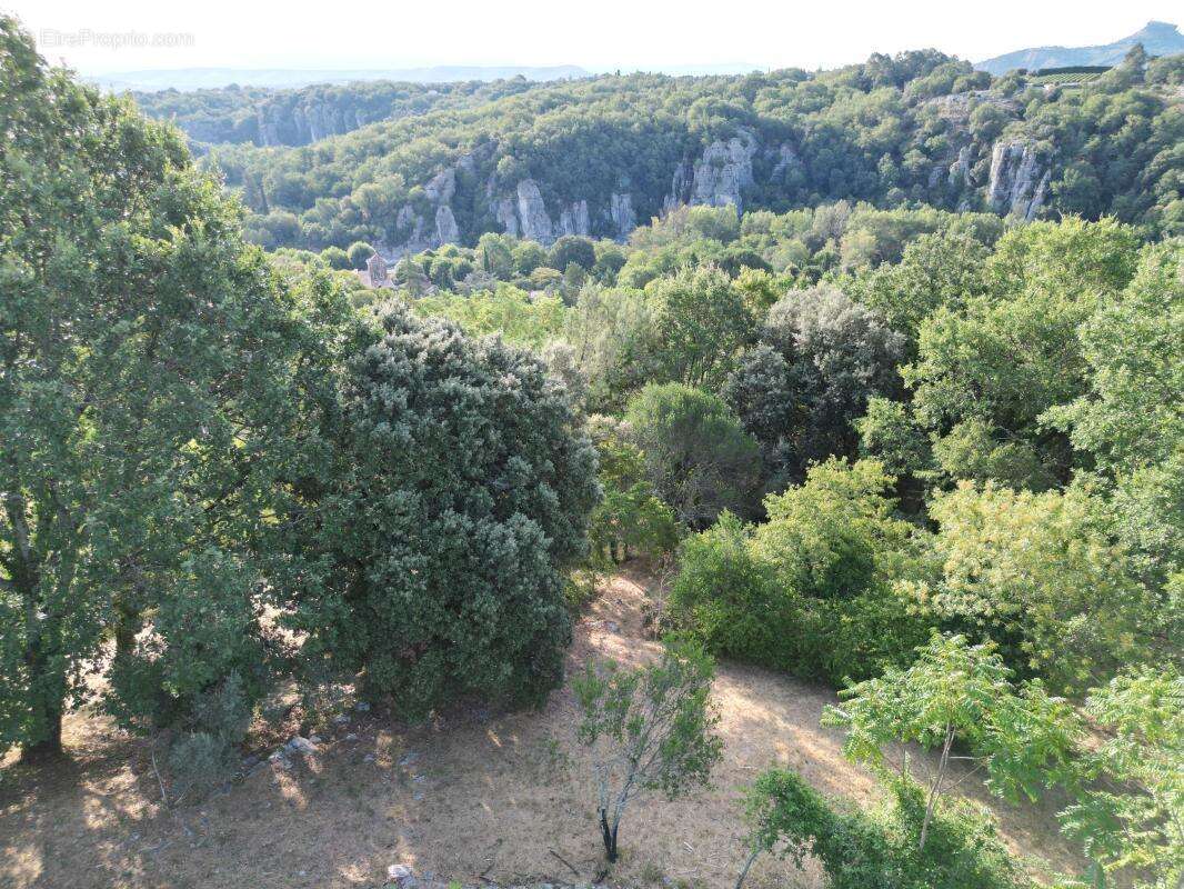 Terrain  constructible à vendre de 2 488 m² - photo 3