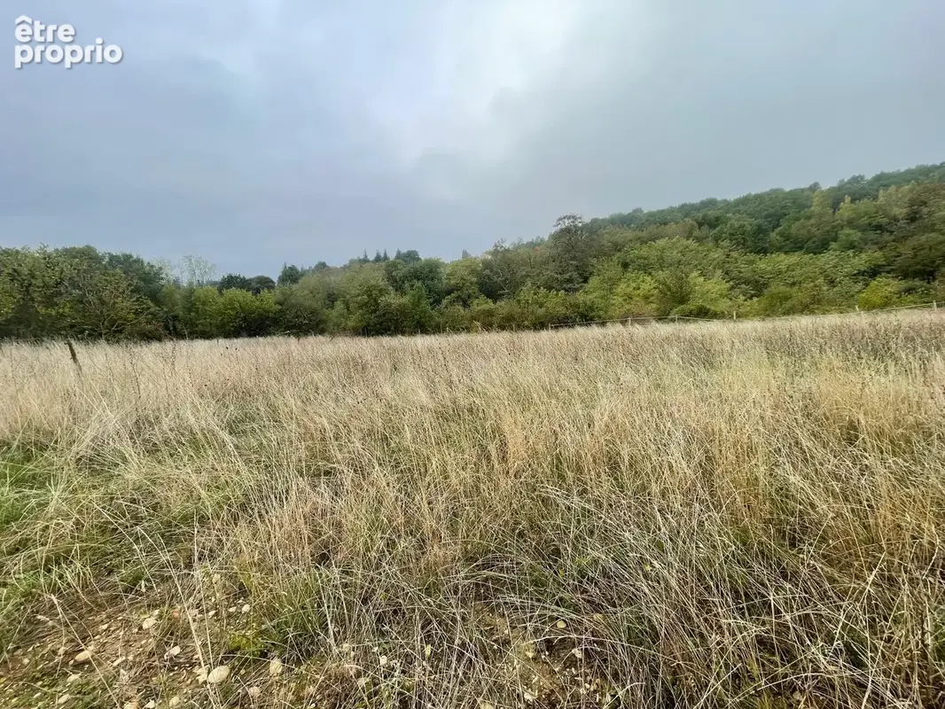 Terrain à SONNAY