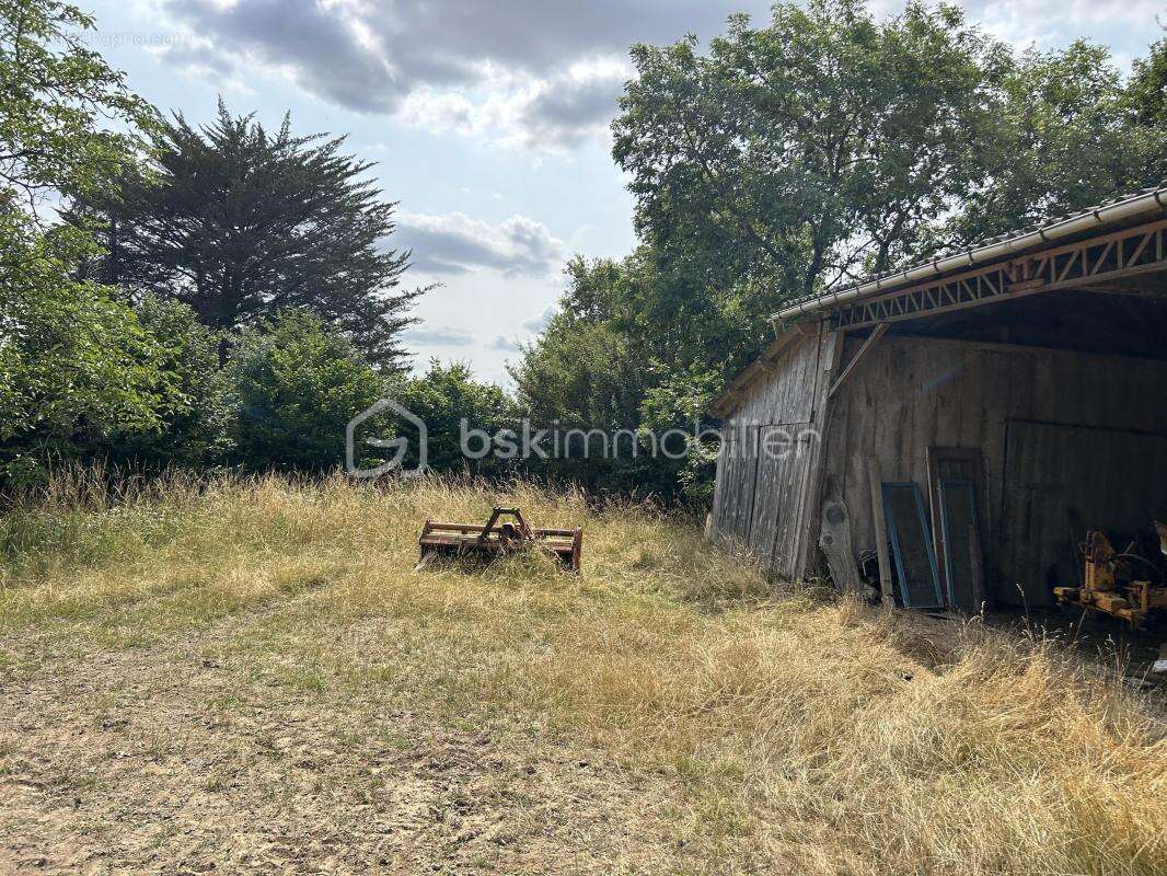 Terrain à BRAINS-SUR-GEE