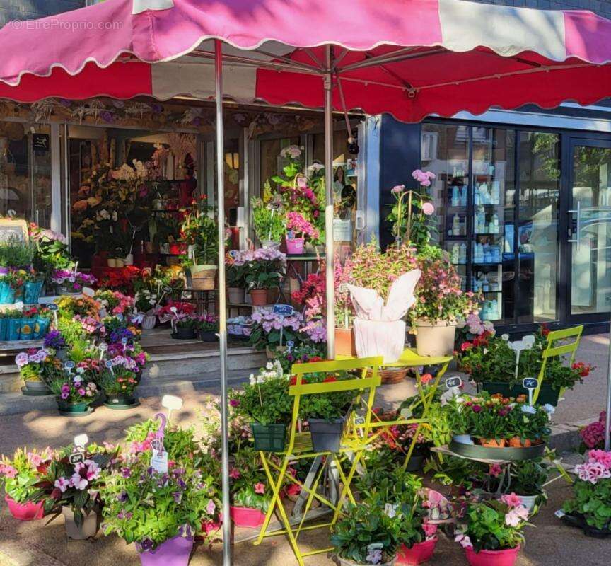 Commerce à PERROS-GUIREC