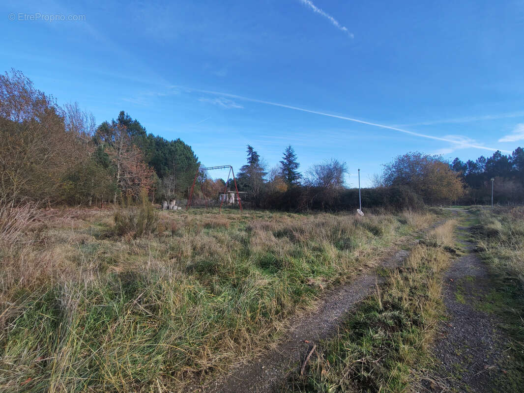 Terrain à LARUSCADE