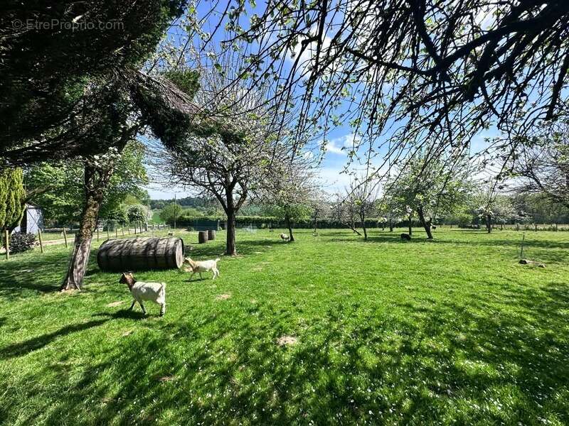 Maison à CHAMP-DU-BOULT