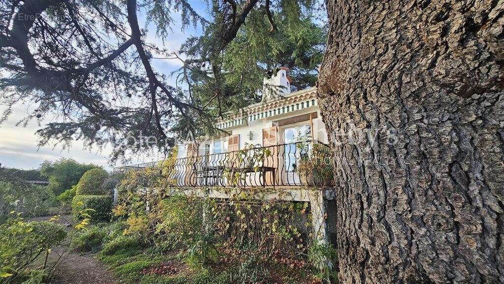 Maison à CANNES