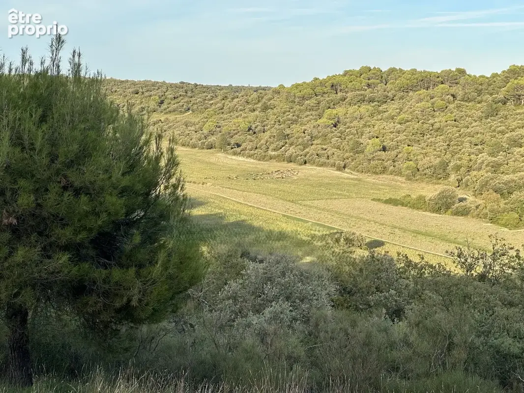 Mas au coeur du Luberon - photo 17