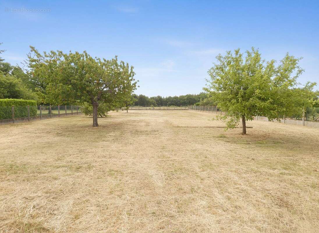 Maison 96 m² à Ouzouer-Sur-Loire  - photo 5