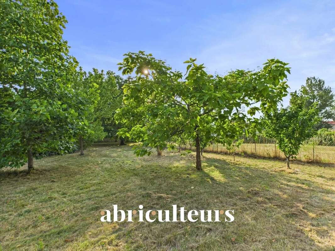 Maison à VILLENEUVE-LA-COMTESSE